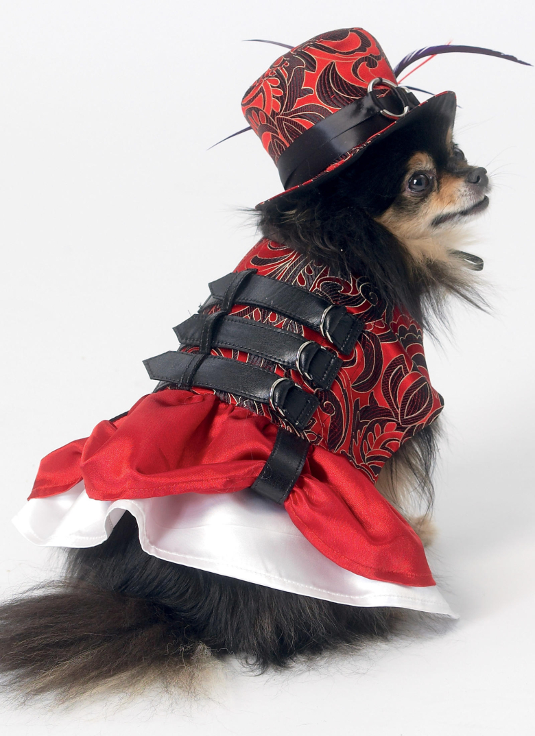 Steampunk sales dog outfits